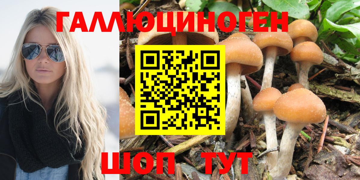 Галлюциногенные грибы Psilocybe Новый Уренгой